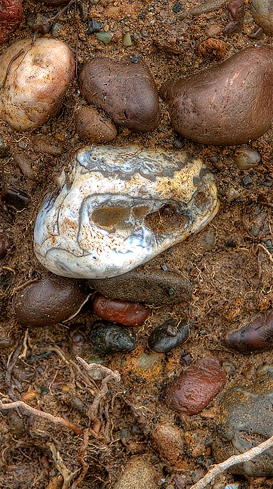 A egg-size moonstone embedded in a California cliff.